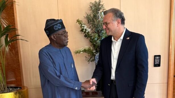 Nigeria : rencontre inattendue entre Bola Tinubu et l'émissaire de Donald Trump à Paris