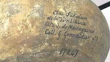 France : restitution des reliques de Menabe, symbole de réconciliation ou coup de communication ?