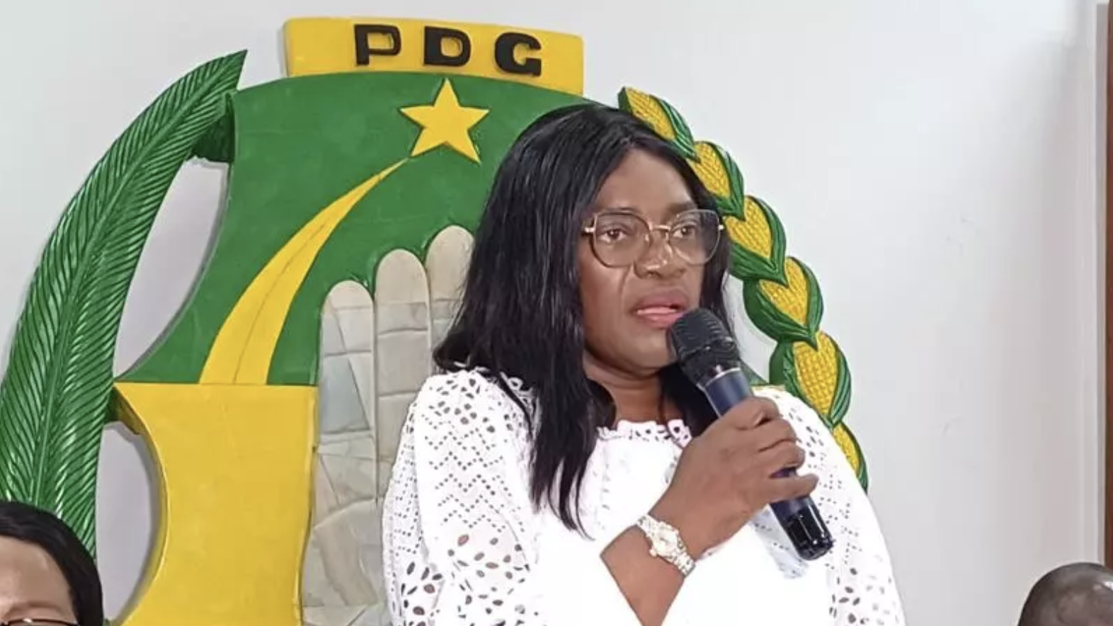 Gabon: les cadres pro-Bongo et la nouvelle direction du parti se disputent le contrôle du siège du PDG