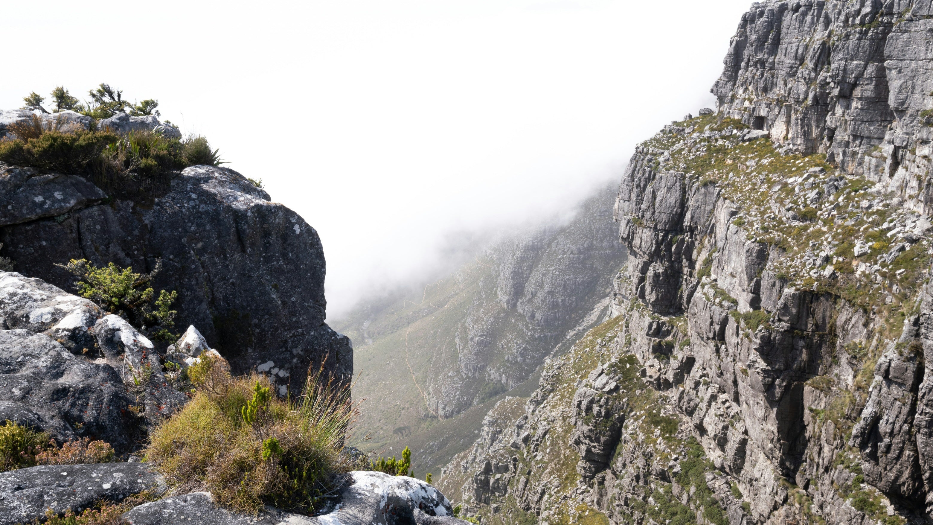 Table Mountain : Une randonnée fatale pour une jeune américaine en Afrique du Sud