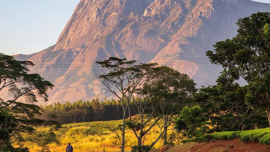 Malawi : la ruée vers l'or de Chakwera avant les élections