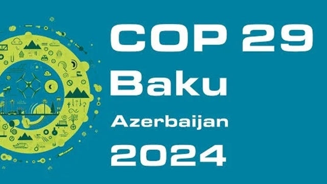 Activisme climatique : la COP29 au chevet des pays vulnérables