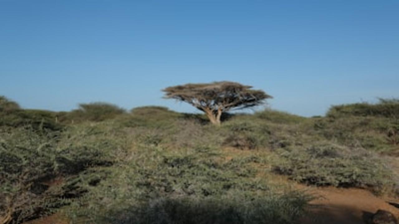 Djibouti : Vers une nouvelle stratégie militaire française dans la Corne de l'Afrique