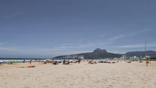 Brésil : une otarie star de la plage d'Ipanema